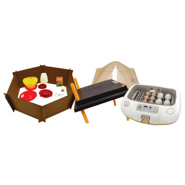 Baby Chick Care Package, Deluxe plus Incubator